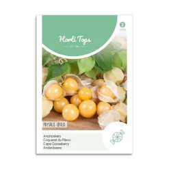 Ananaskirsebær frø "Cape Gooseberry"