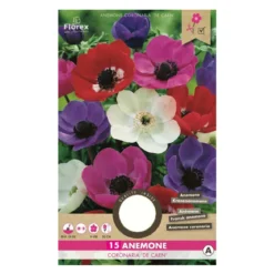 Anemone De Caen mix - 15 løg