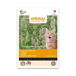 Animal favorites Almindelig katteurt