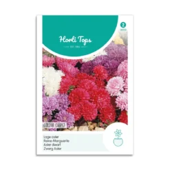 Asters frø mix "Colour Carpet"