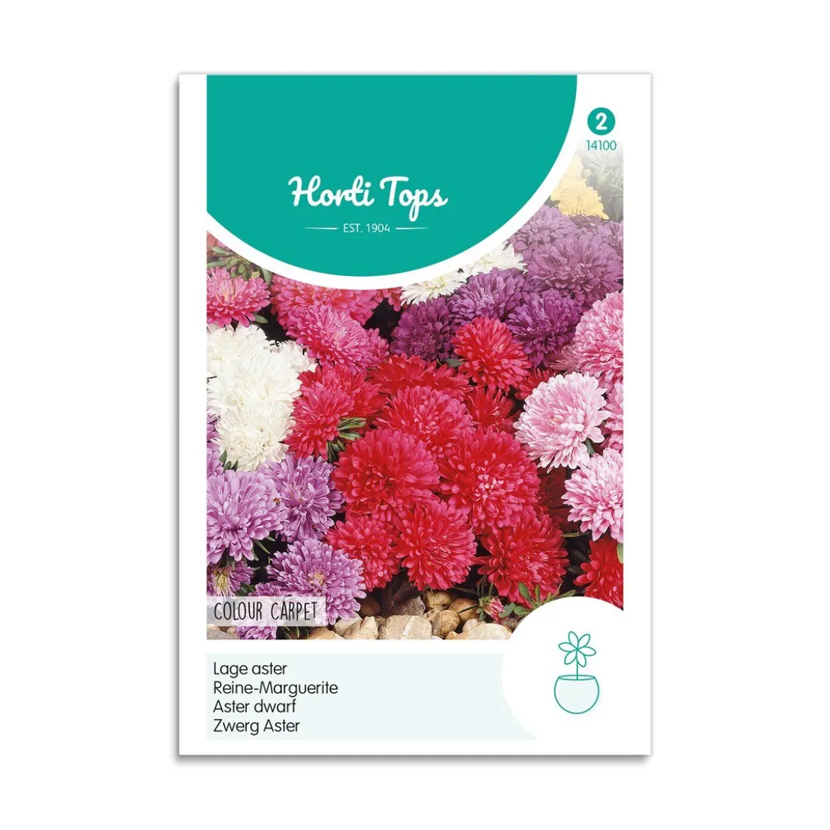 Asters frø mix "Colour Carpet"