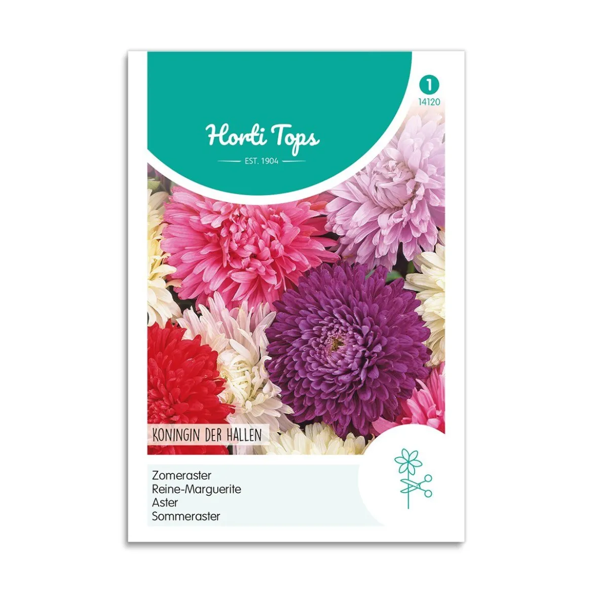 Asters frø mix "Queen Of The Market"