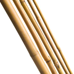 Bambuspinde H60 cm - Ø6-8 mm 10 stk