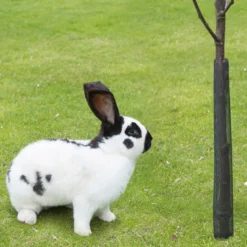 Barkbeskyttelse, 4 pack - 55 cm