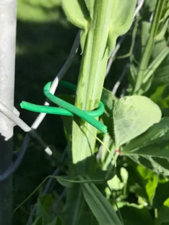 Bindetråd gummi 8 m x 3 mm