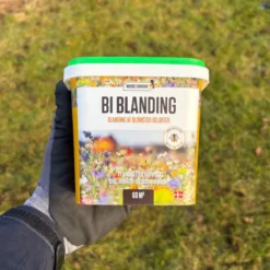 Blomsterblanding, Bi- og insekt blanding - 60m2