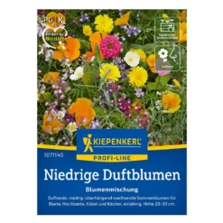Blomsterblanding Duftende blomster - 2-4 m2