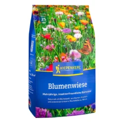 Blomsterblandinge Blomstereng - 25 m2
