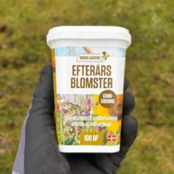 Blomsterblanding Efterårsblomster - 100 m2