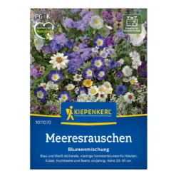 Blomsterblanding til altan, Blå blomster - 3-4 m2