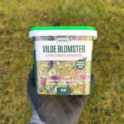 Blomsterblanding Vilde Blomster - 60 m2