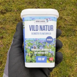 Blomsterblanding, Vild Natur - 100 m2