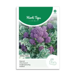 Broccoli frø "Summer Purple"