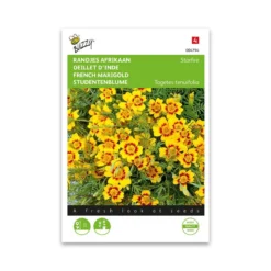 Buzzy® French Marigold Starfire