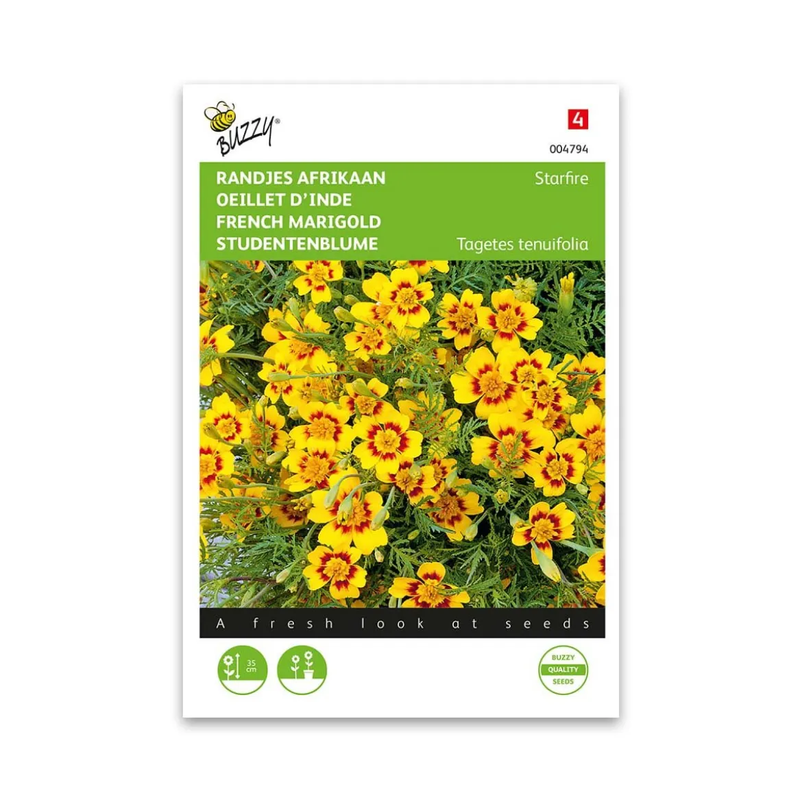 Buzzy® French Marigold Starfire