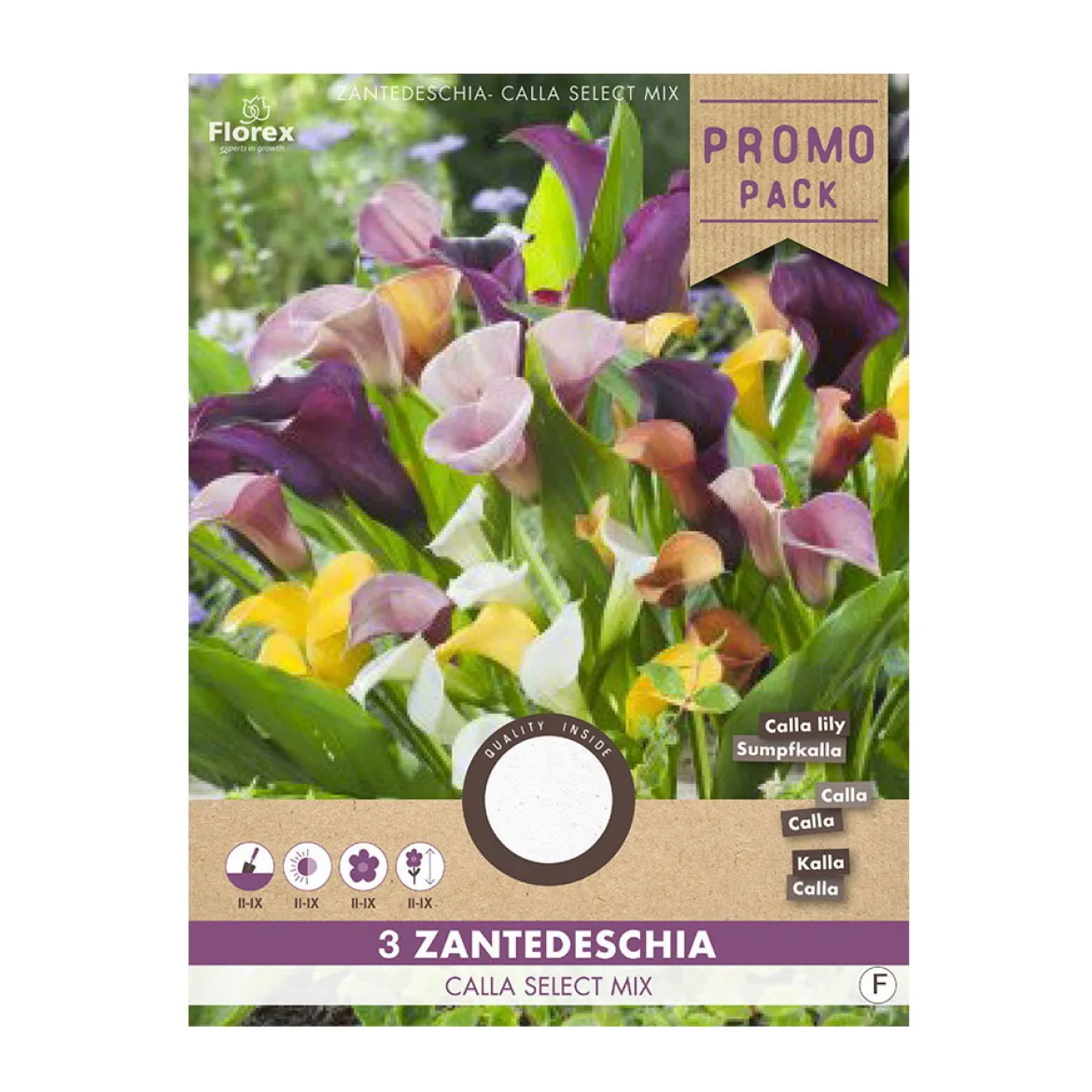 Calla Zantedeschia blomsterløg - 3 stk.