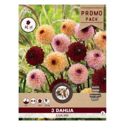 Dahlia "Julia Mix" - 3 knolde