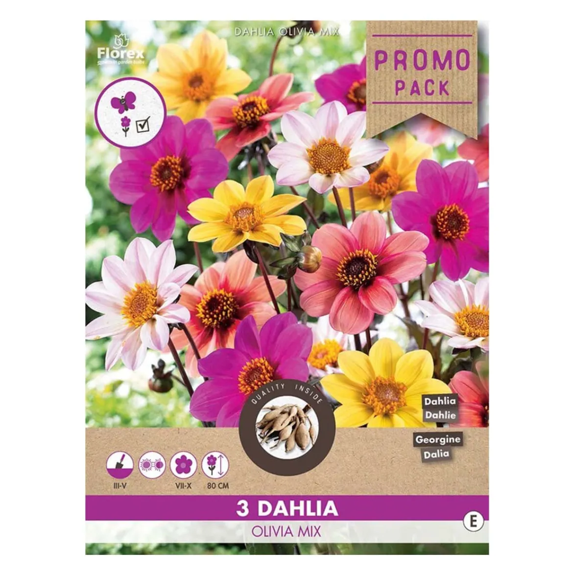 Dahlia "Olivia Mix" - 3 knolde