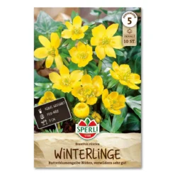 Erantis 'Eranthis Cilicica'