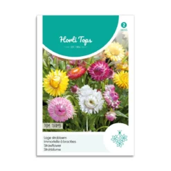 Evighedsblomster frø "Tom Thumb"