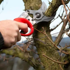 Felco 822+ elektrisk beskæresaks, komplet sæt