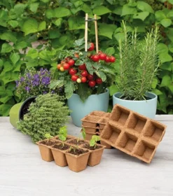 Fiberbakker med 6 rum til forspiring, 5 stk