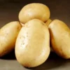 Folva læggekartofler - 1,5 kg. (middel tidlig)