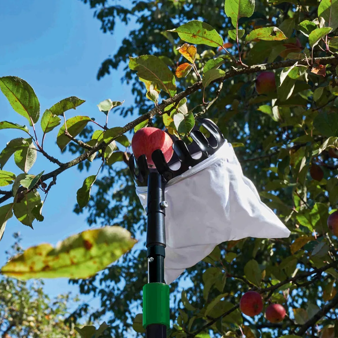 Freund Frugtplukker - 140 cm