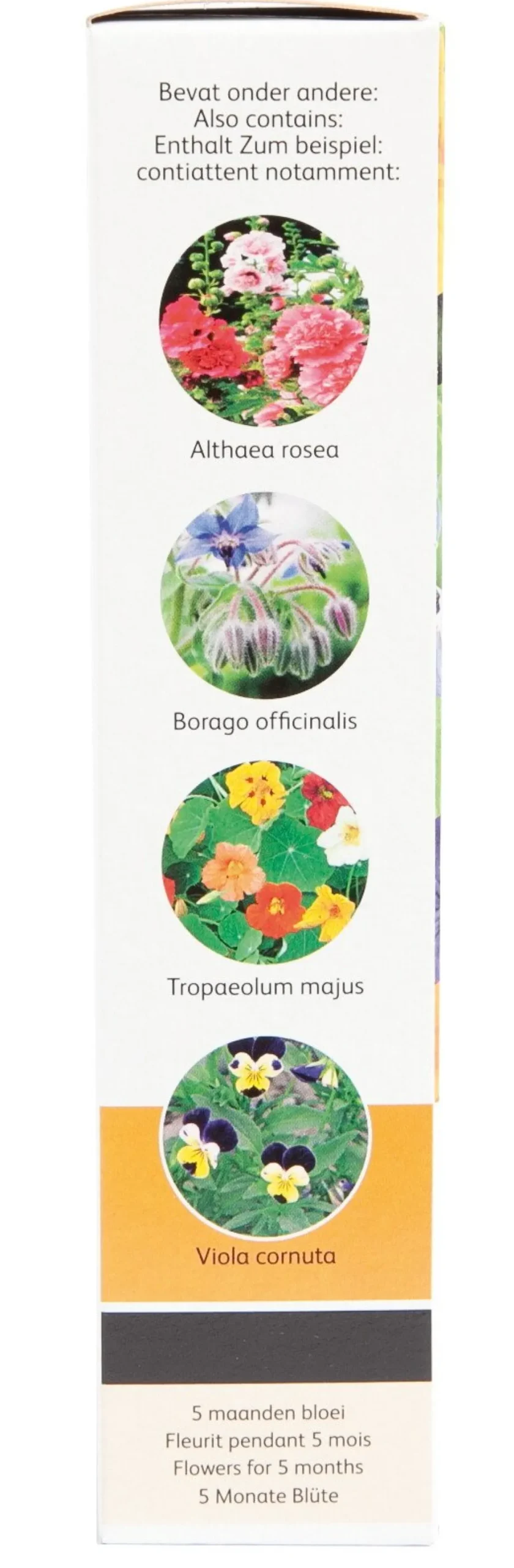 Friendly Flowers Blomsterblanding, spiselige blomster 15 m2