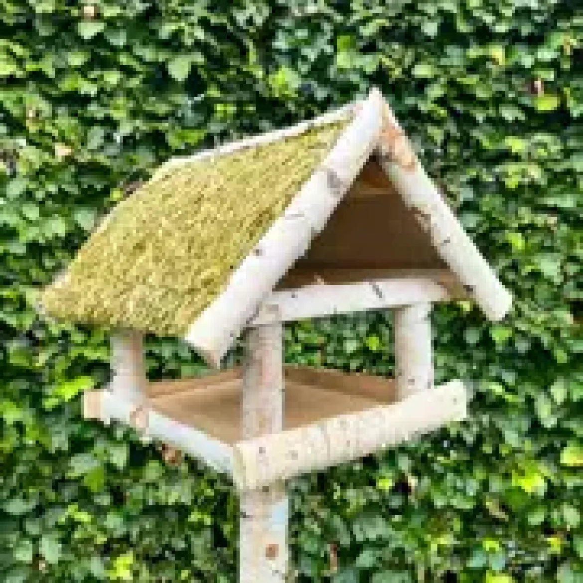 Fuglefoderhus i birketræ med fod. Stråtag HORTUS
