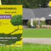Græsfrø Barenbrug Shadow skyggegræs - 5 kg