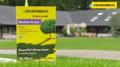 Græsfrø Barenbrug Shadow skyggegræs - 5 kg