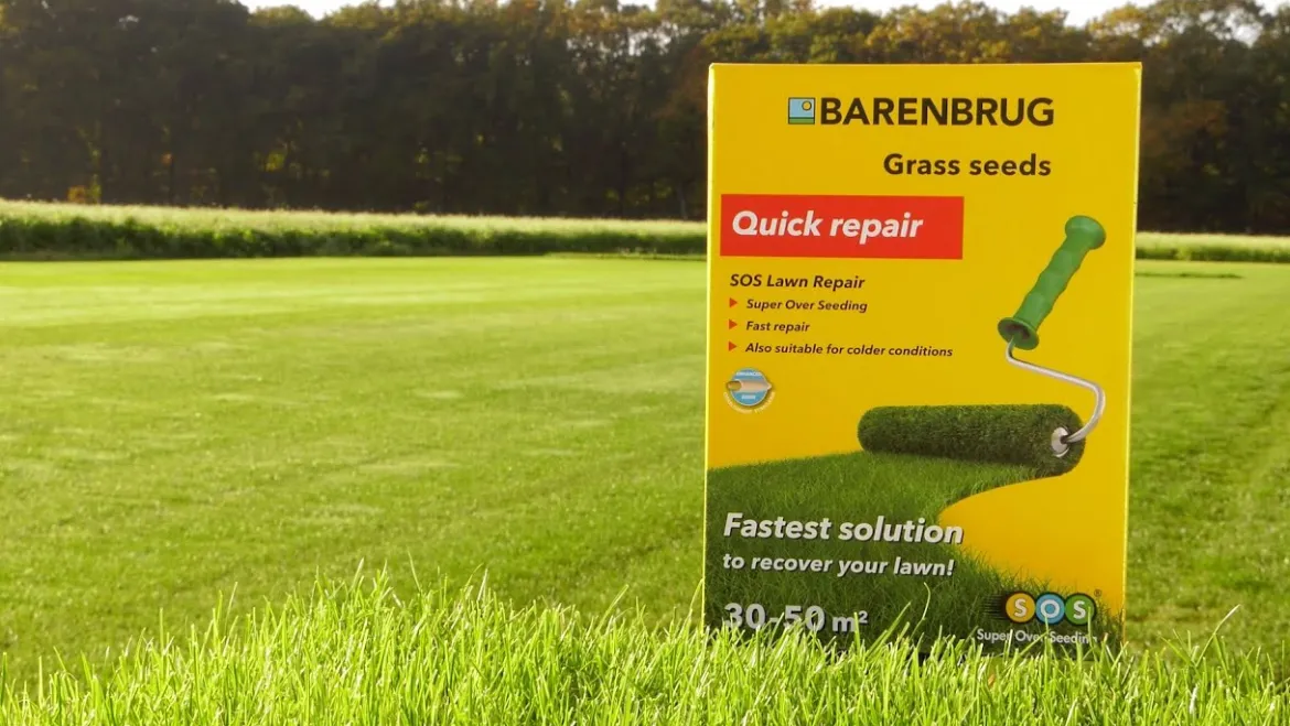 Græsfrø Barenbrug SOS lawn Repair plæne - 1 kg