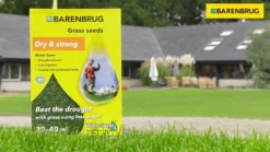 Græsfrø Barenbrug Water Saver plænegræs - 1 kg