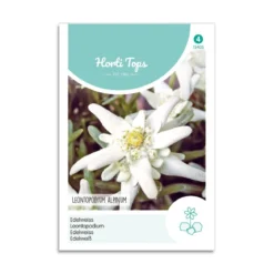 Ægte Edelweiss frø