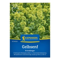 Gul Sennep frø - 20 m2