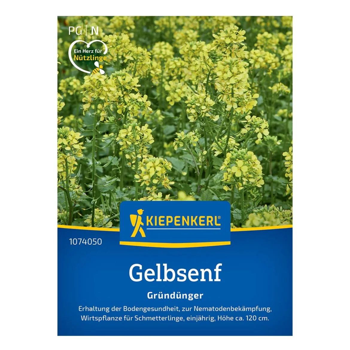 Gul Sennep frø - 20 m2
