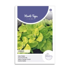 Havemælde frø "Atriplex hortensis"