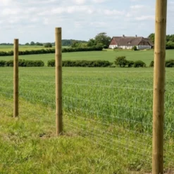 Hegnspæle Ø10 uden spids - 3 meter