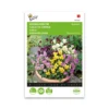 Hornviol frø, Bambini mix