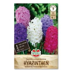 Hyacint 'mix'
