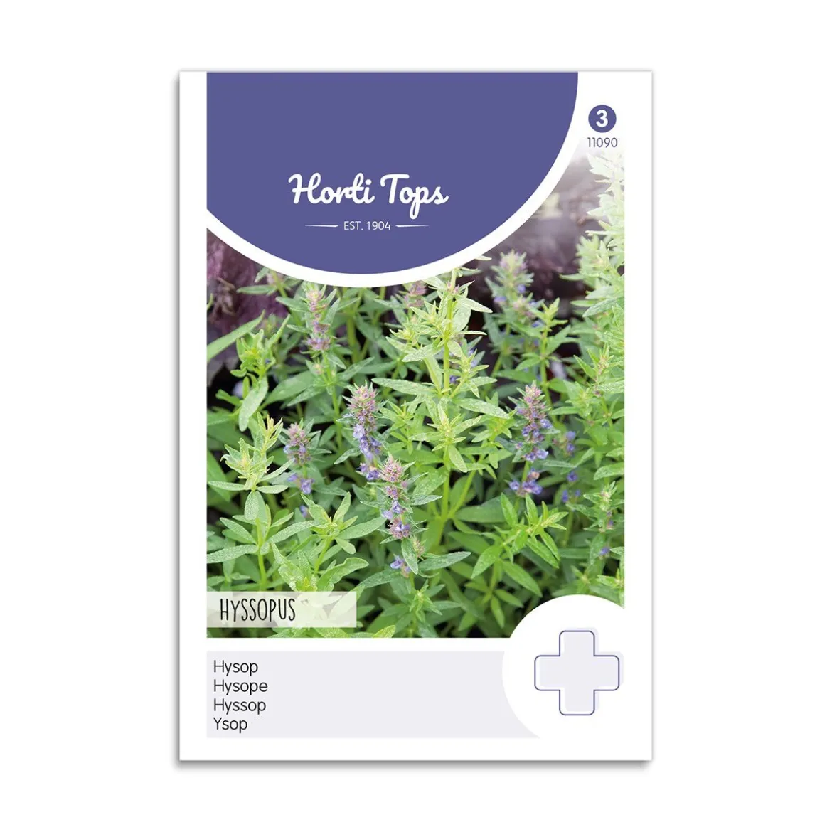 Isop frø "Hyssopus Officinalis"