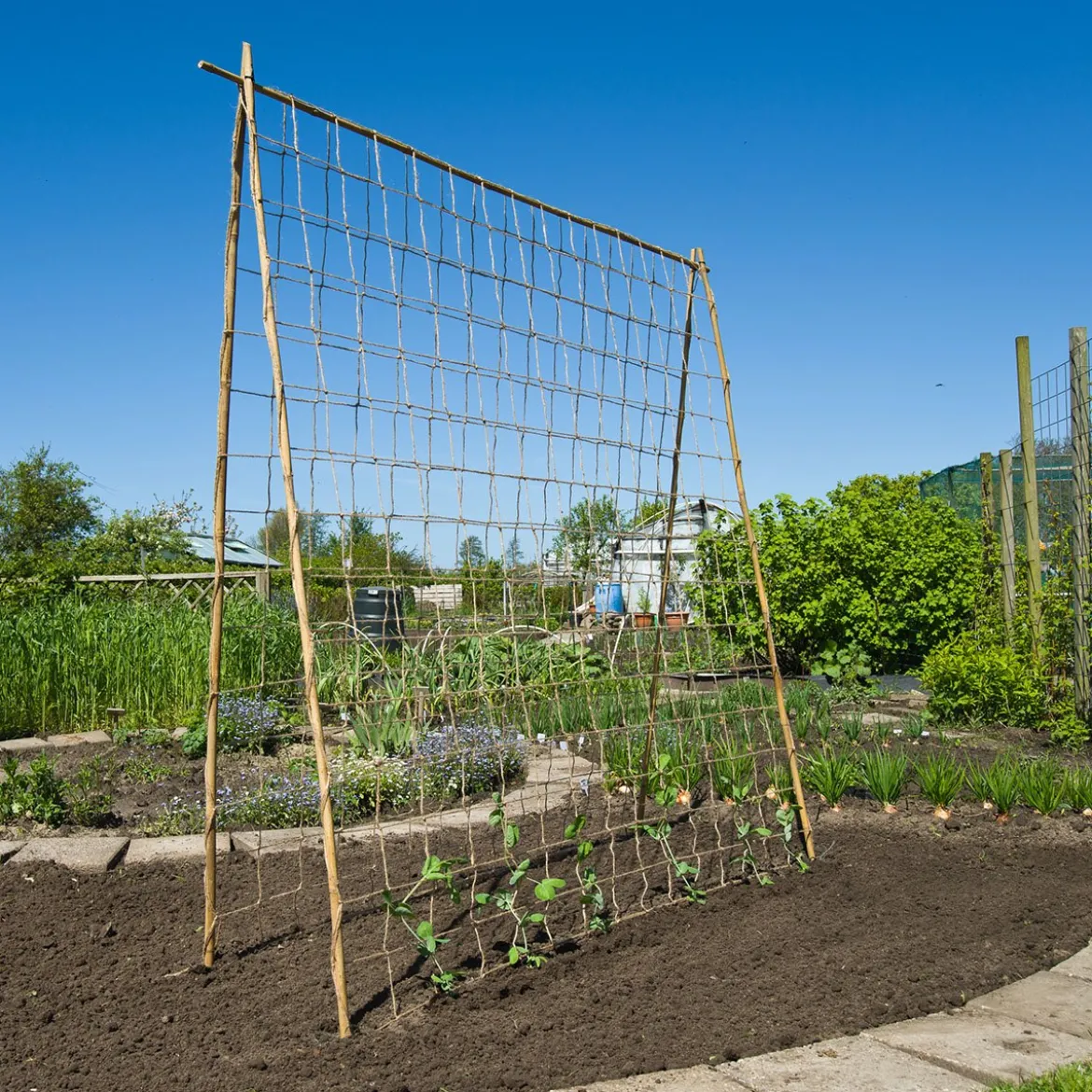 Juteopbinding til espalier 1,8 x 5 meter