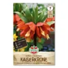 Kejserkrone 'Rubra'