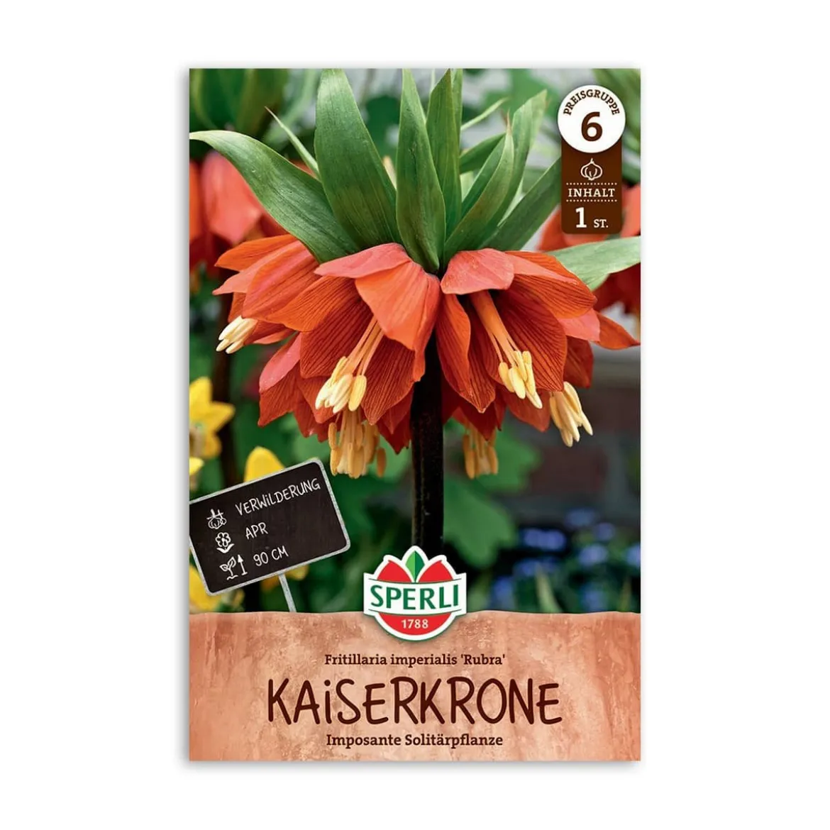 Kejserkrone, Rubra - 1 løg