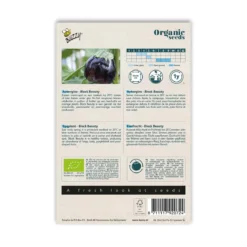 Økologisk Aubergine frø "Black Beauty"
