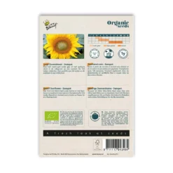 Økologisk Dværg Solsikke frø, Sunspot
