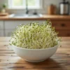Økologiske lucernespirer frø - 30 g