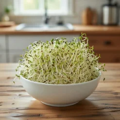Økologiske lucernespirer frø - 30 g