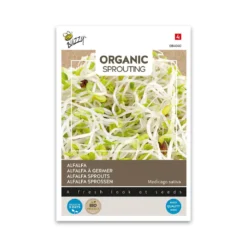 Økologiske lucernespirer frø - 30 g